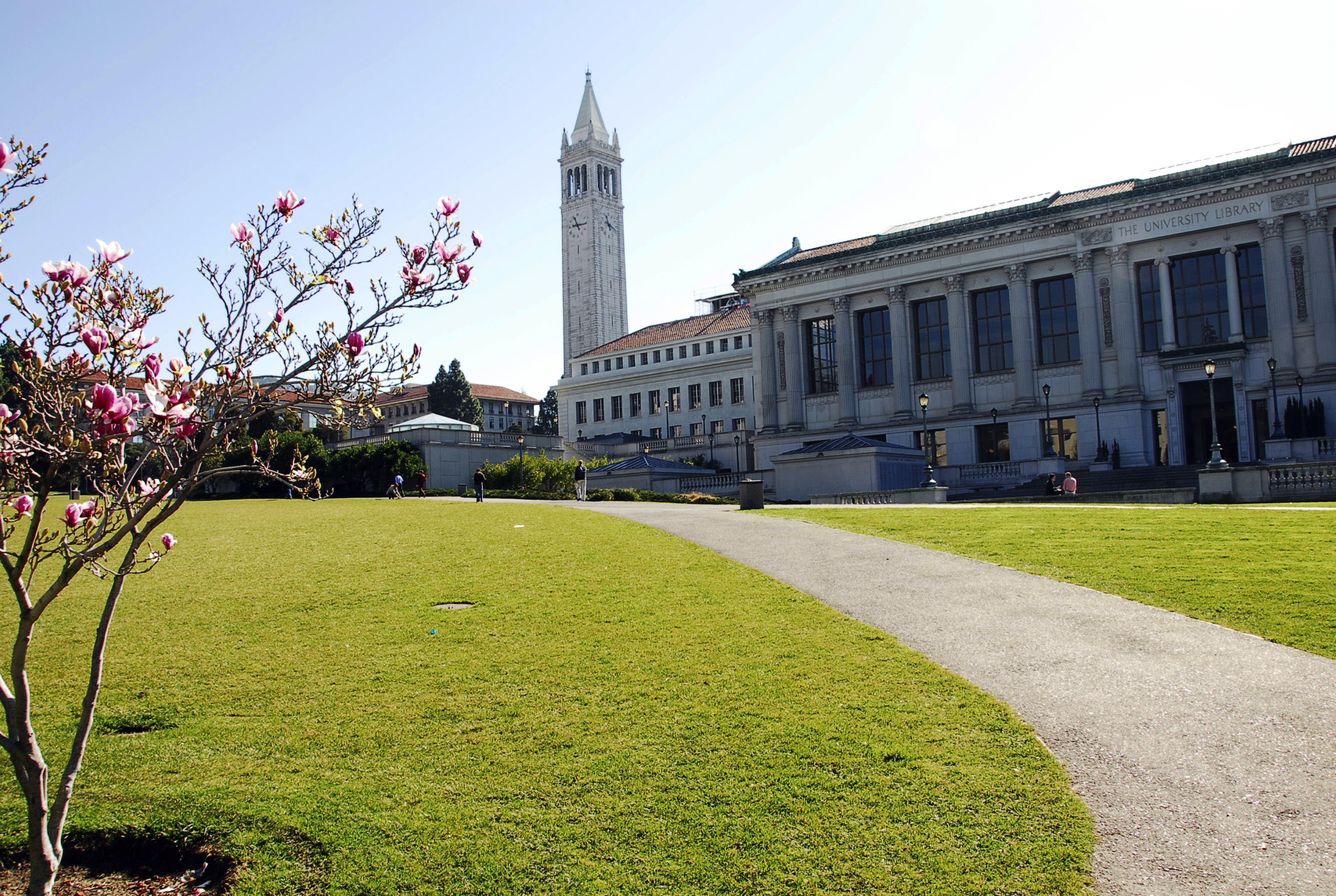 Do 529 Plans Make The Grade The College Funding Coach Do 529 Plans Make The Grade Paying 